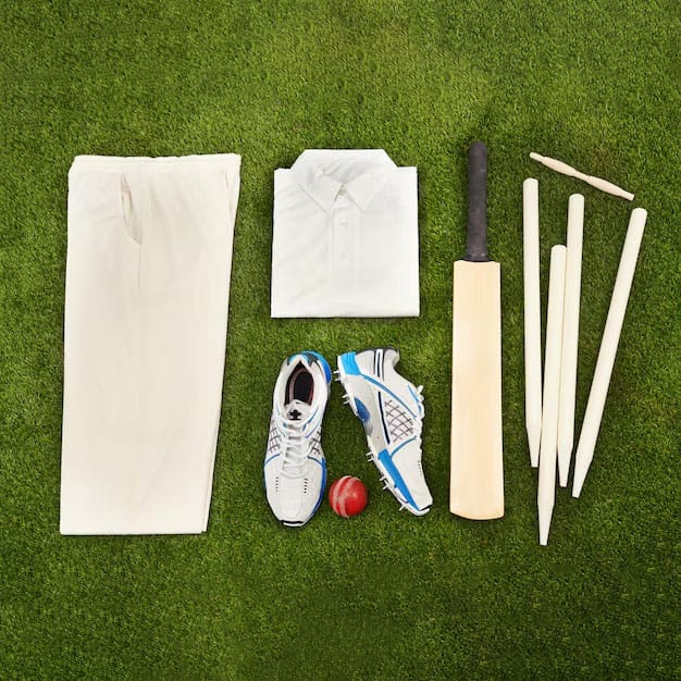 Cricket Gear main menu