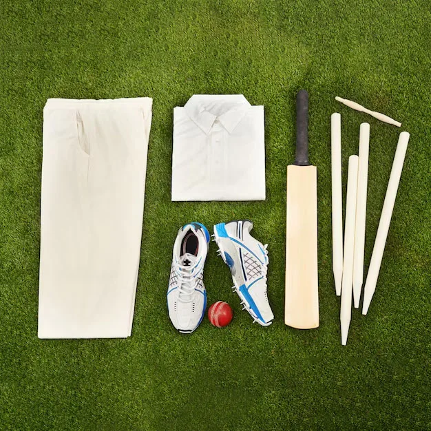 Cricket Gear main menu