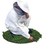 Bee Suit White Round A1117n003 Murtazagroup 6